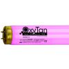 OxyTan 100W by New Technology